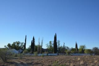 Witkrans Guest Farm - Middelburg - 0