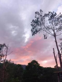 Farmers Hill Campsite Mountain-View Tent - 4