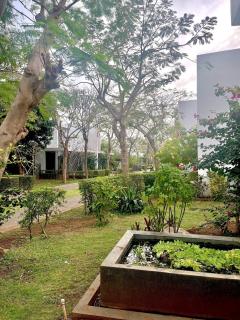 Oceanami Resort beach club - 5