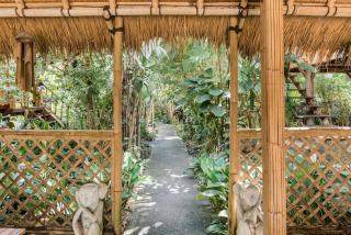 Organic Bamboo Villa near Ubud - 9