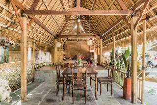 Organic Bamboo Villa near Ubud - 3