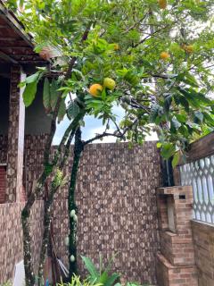 Casa de praia - 2