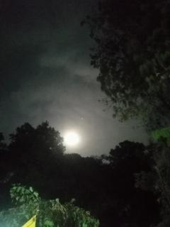 Jungle Crown Organic Homestay - 9