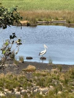 Pebble Point - 4