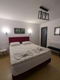 El Monte-transfagarasan - 2