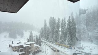 Pamporovo Living Cozy Mountain Home - 2