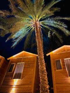 Wood Valley Siwa Hotel وود ڤالي فندق سيوة - 1