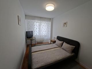 Cozy apartment in Marasti -Cluj - 8