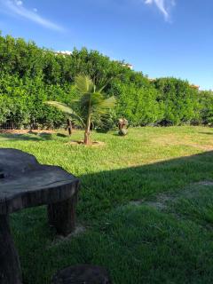 Pousada Recanto das garças - 2