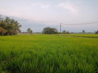 Kota Emas Homestay -in Sarang Semut, Kedah - 8