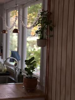 Tiny house close to Copenhagen - 8