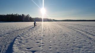 Villa Karhurinne - 3