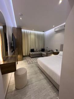 استديو مودرن بأثاث فاخر ومريح - 0