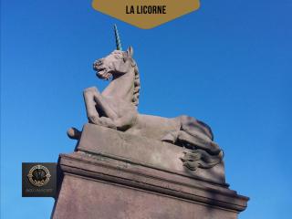 Duplex Familial- Vue Canal - Wifi Fibre - 5