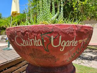 Quinta Ugarte - Casa con Viñedo - 5