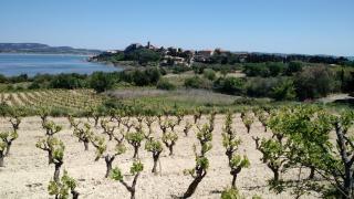 Maison avec beaucoup de caractères - 1