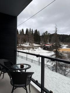 Aparthotel Art Bakuriani 211 - 4