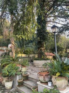 Oasi Gioia verde - 2