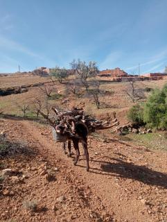 Mineral Spirit Guest House -  - 8