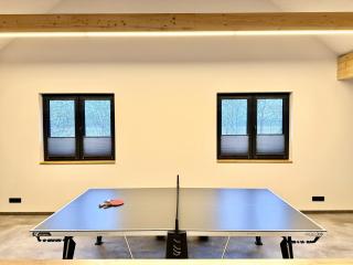 Franks Ferienhaus am See I Privatsteg I Tretboot I Spieletage I Ruhe I Natur I Angeln I luxuriös & großzügig bis zu 10 Personen - 3