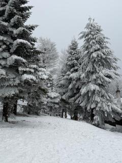 Wellness chata Kozička - 4