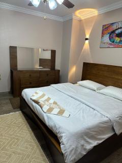 شقة فاخرة بالمهندسين - 2