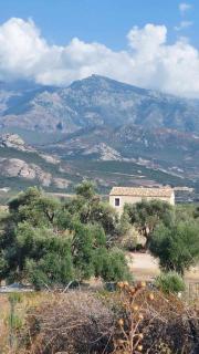 Calvi, 4-person apartment with pool, quiet, close to beaches, piscine, calme - 7