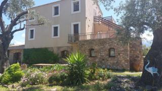 Calvi, 4-person apartment with pool, quiet, close to beaches, piscine, calme - 5