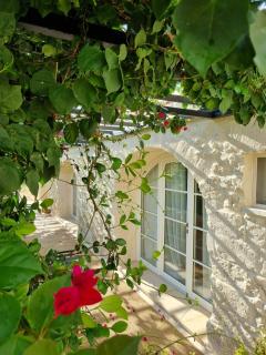 Masseria Vaccaro - Boutique Hotel - 1