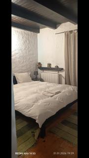 Casa Elvețiană - 1