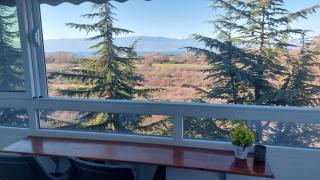 Peaceful Studio Lake View - 1