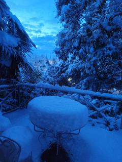 La Palmeraie Saintaise - 7
