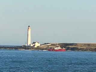 Montrose - ground floor 3-bedroom flat - 9