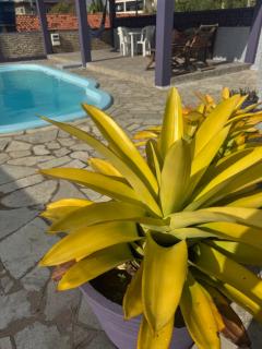 Barra Adventure Pousada - 4