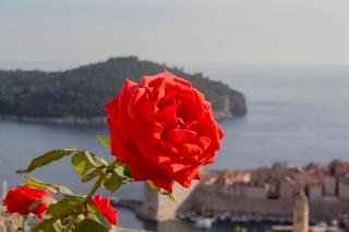 Apartment Teo - Dubrovnik - 7