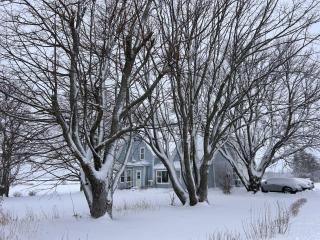 Bridge View near Confederation Bridge and beaches - 3