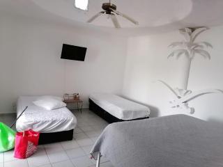 Marina Palace Tequesquitengo - 3