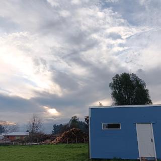 Entre Pinos y Volcanes - 4