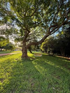 Under the Velvet Sky by Tiny Away - 2