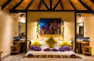 Taveuni Dive Resort - Waiyevo - 9