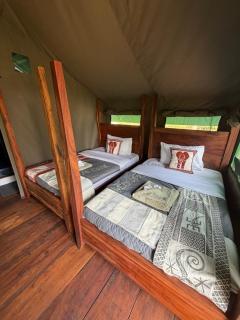 Tangi Elephant Camp - 3