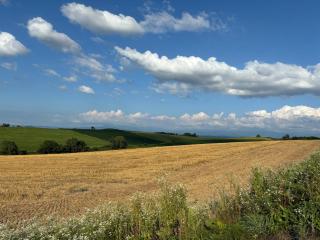 TeshioNakagawa Vacation House - 3