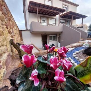 The Mastiha Spot 5 - 9