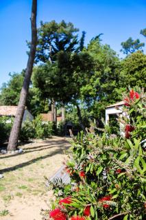 Villa Pinède Privat-Spa Natur & Strand 8 Pers in Brétignolles - 8