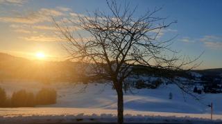 Ferienwohnung Pitzer - 4