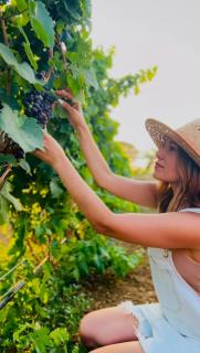 Terra Hélios Suites & Studios - 3