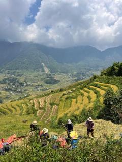 Cozy Happy Bungalow - 1