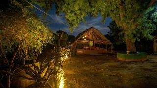 Yala Elephant Walk & Safari - 5