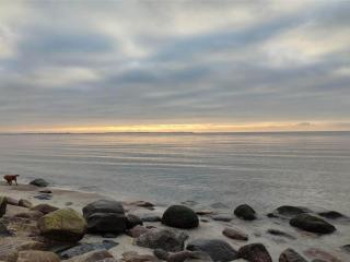 4 person holiday home in Store Fuglede - 9