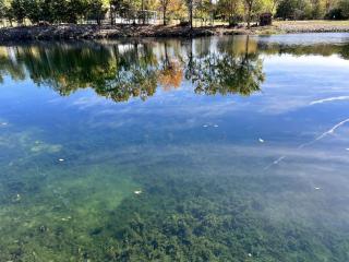 Charming Lodge Suite for Four with Fishing and Hiking for an Amazing Family Vacation near Kingston, Oklahoma - 6